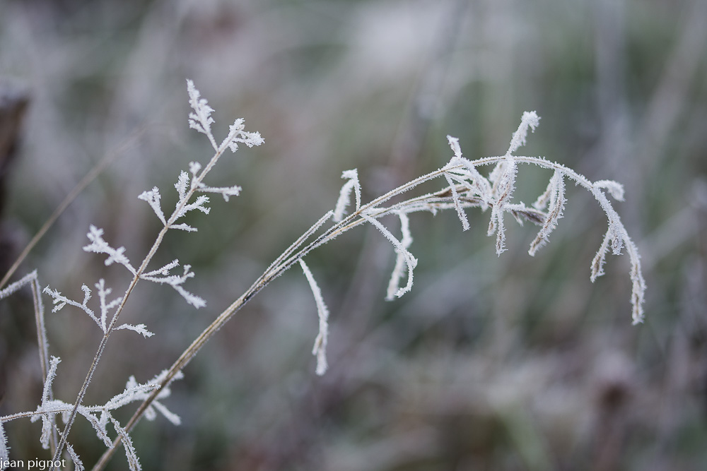 02012021-DSC_4602.JPG