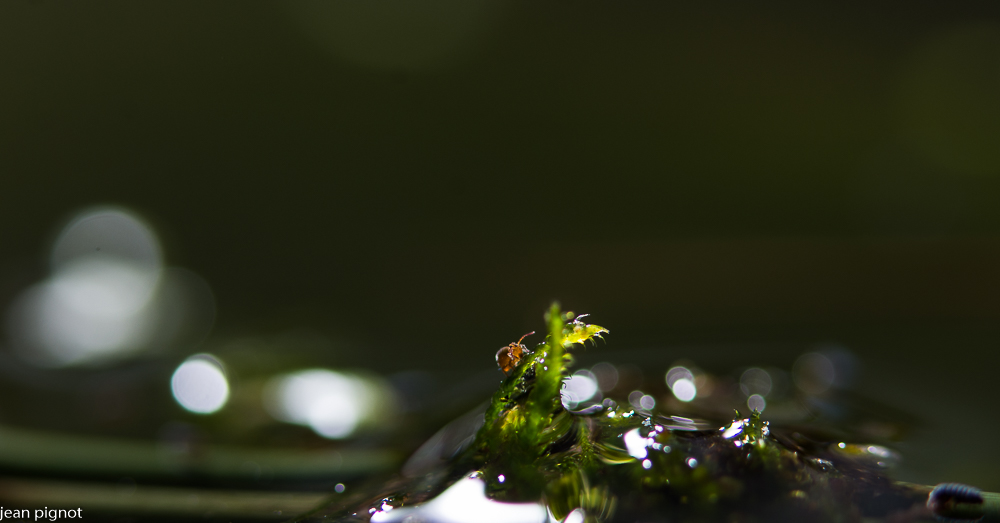 26012021-DSC_5768.JPG