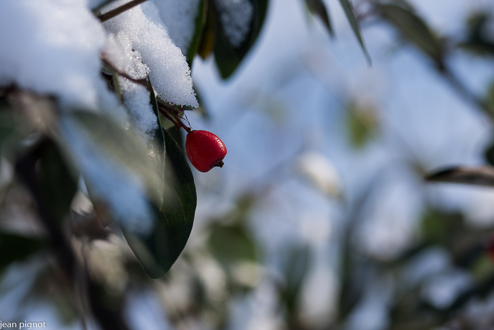 03022021-DSC_6187.JPG