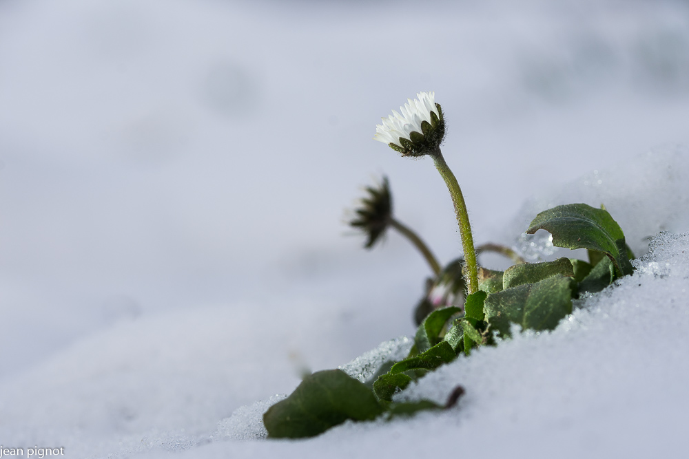 05022021-DSC_6215.JPG