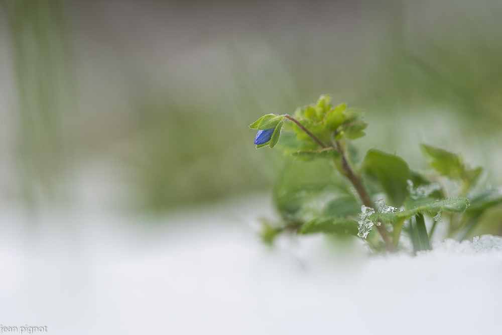 06022021-DSC_6241.JPG