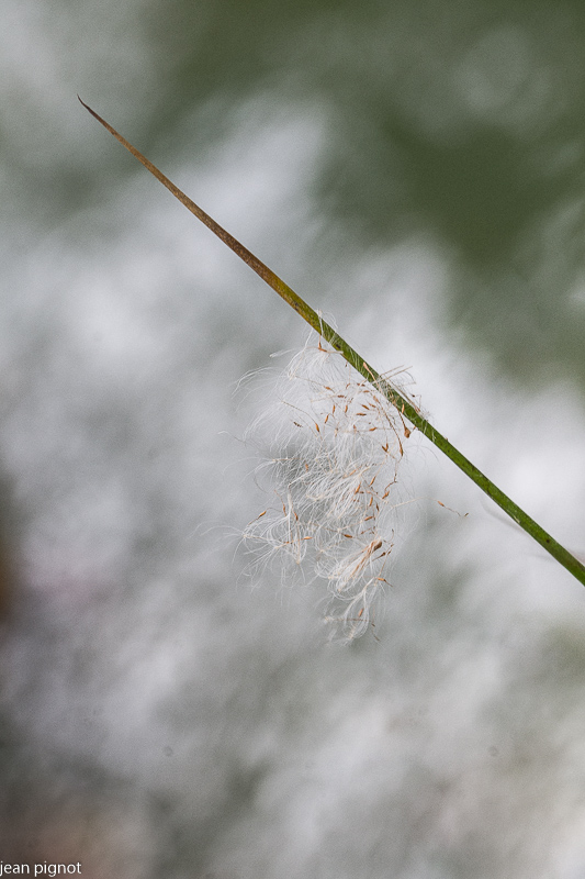 05032021-DSC_7566.JPG
