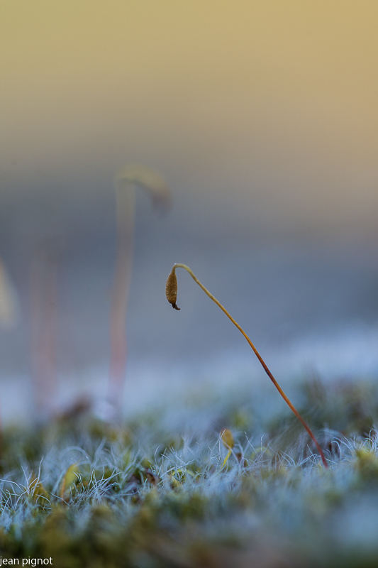 02032021-DSC_7455.JPG