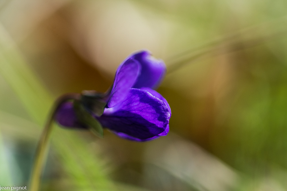 27022021-DSC_7284.JPG