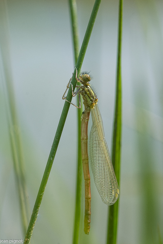 10042021-DSC_8618.JPG