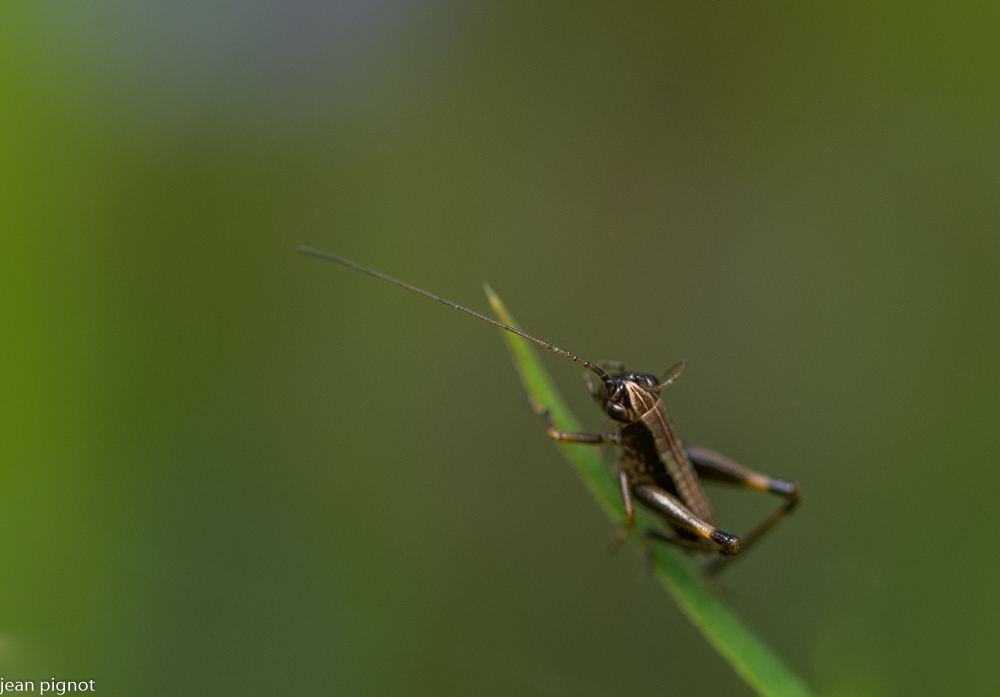 12042021-DSC_8745.JPG