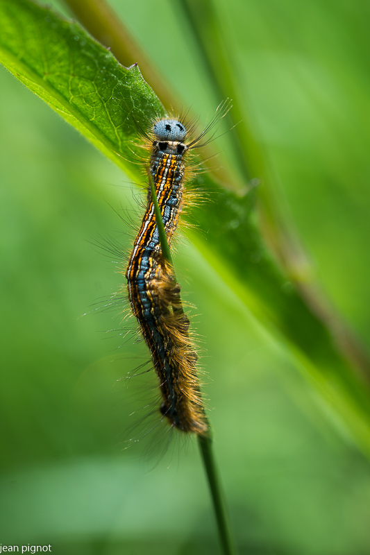 12052021-DSC_0610.JPG