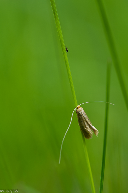 13052021-DSC_0820.JPG