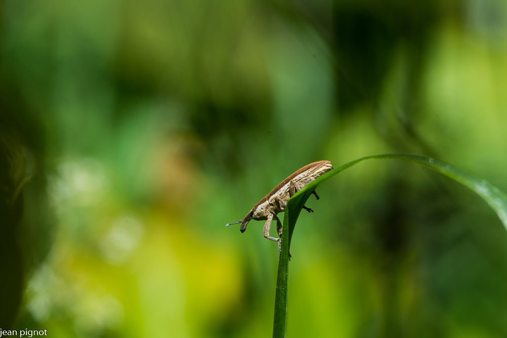 25052021-DSC_1917.JPG