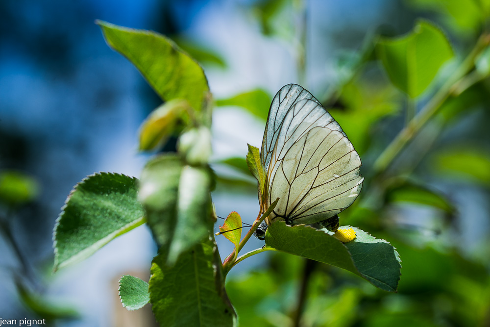 14062021-DSC_3134.JPG