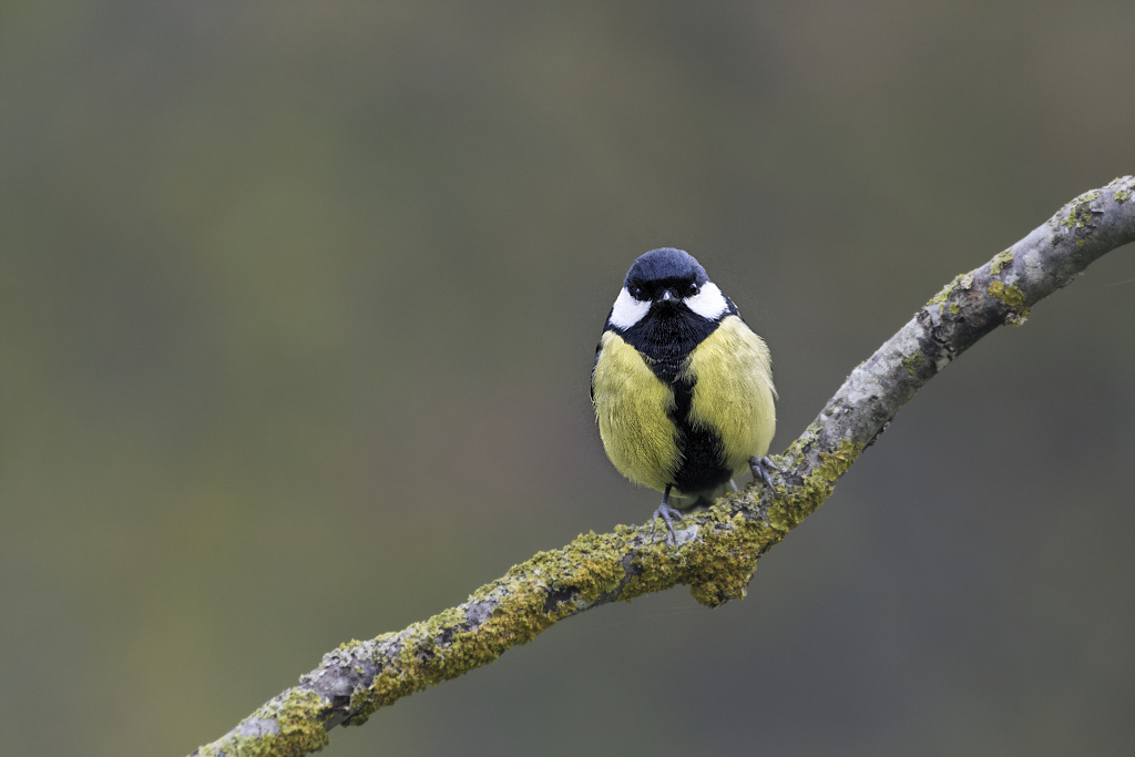 _DSC4728_DxO_DxO_DxO_1.jpg