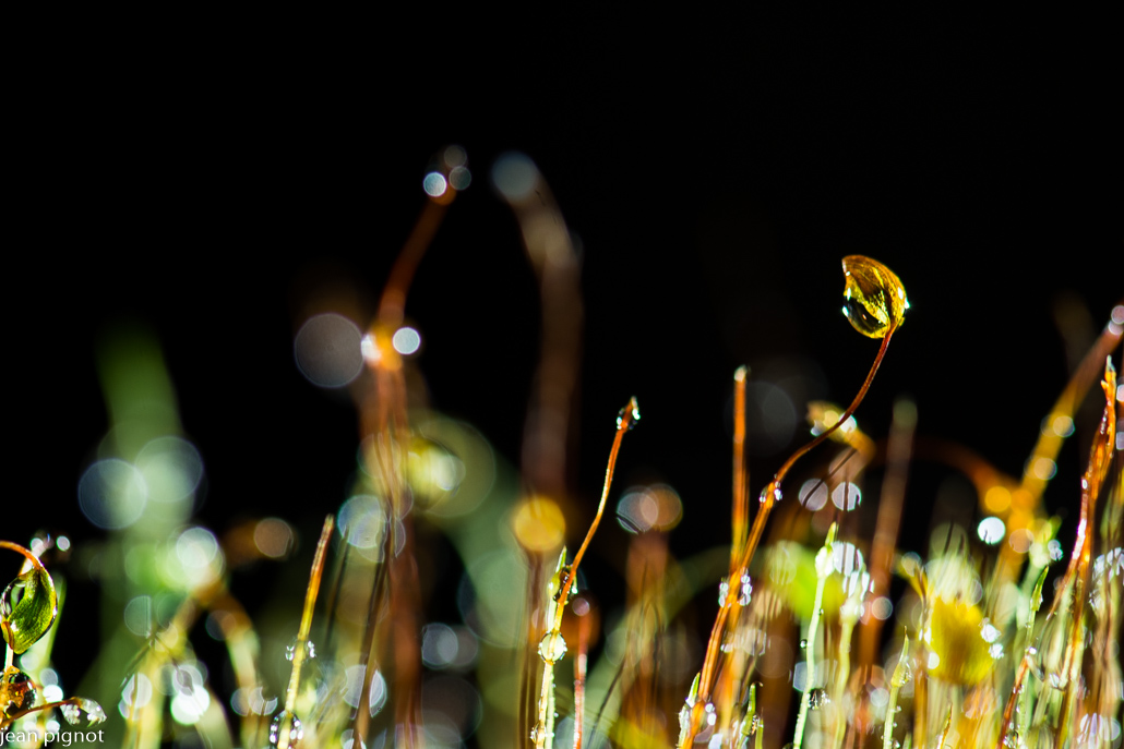 31012022-DSC_0202.JPG