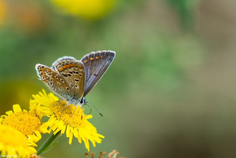 DSC_9966_258.JPG