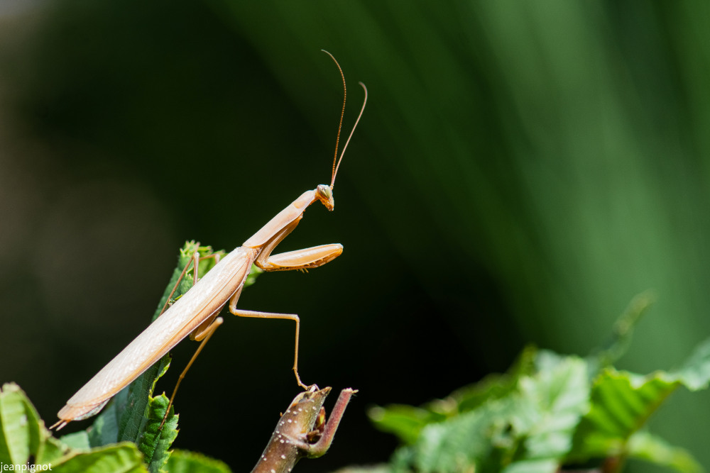 DSC_0325_592.JPG
