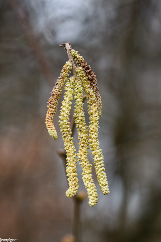 DSC_5577_932.JPG