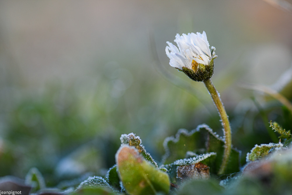 DSC_6287_1012.JPG