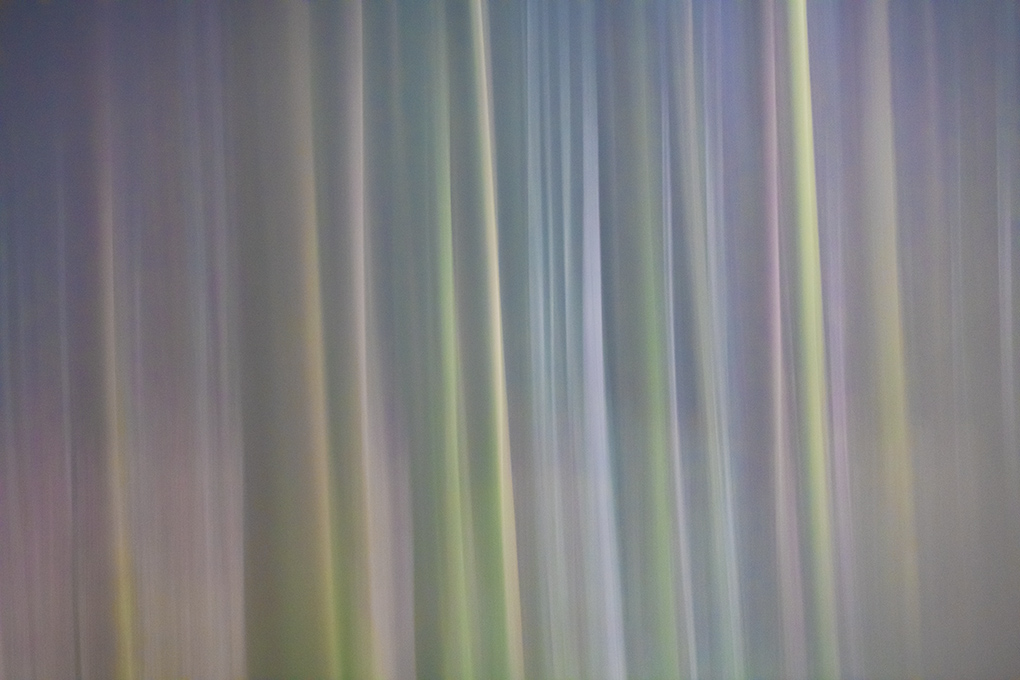 filé d'arbres mars 2023 3.jpg