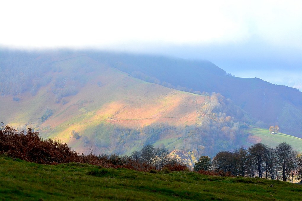 DSC_2319.JPG