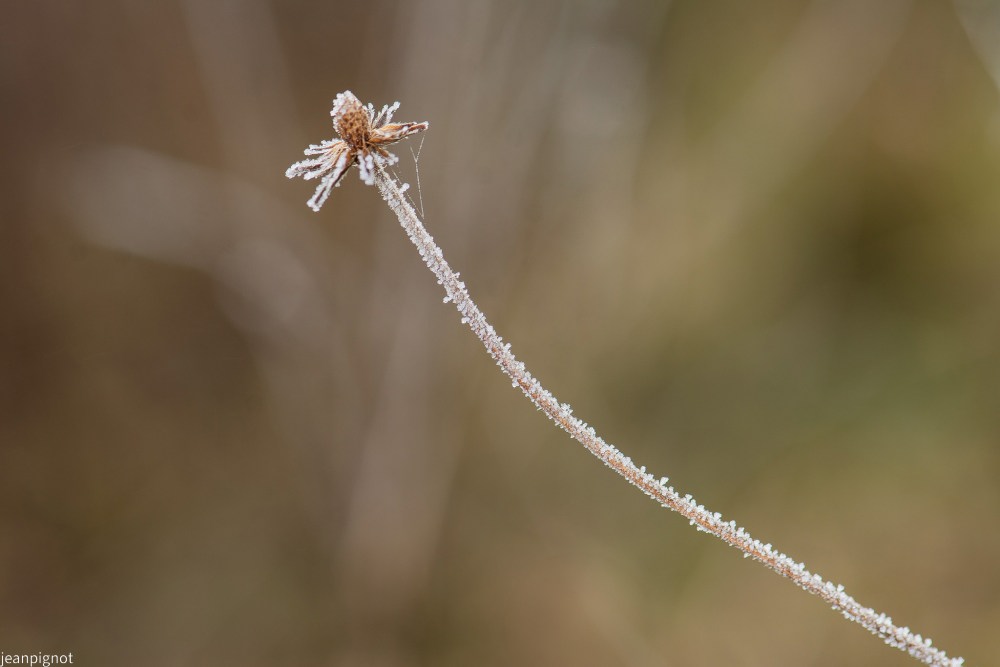 DSC_5441_001DSC_5441.JPG