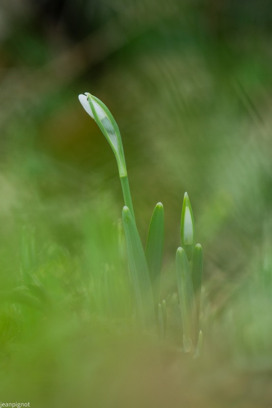 DSC_5465_001DSC_5465.JPG