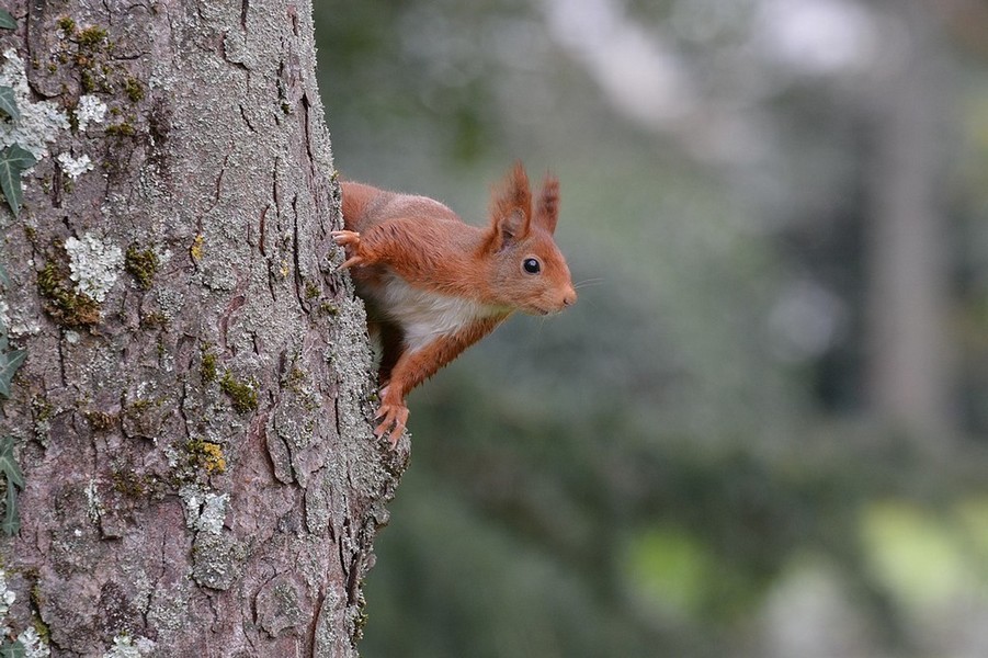 DSC_4576.JPG