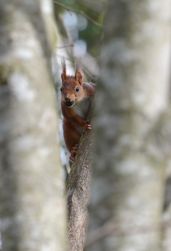 DSC_5058.JPG