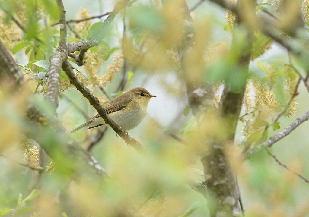 DSC_5597j.JPG