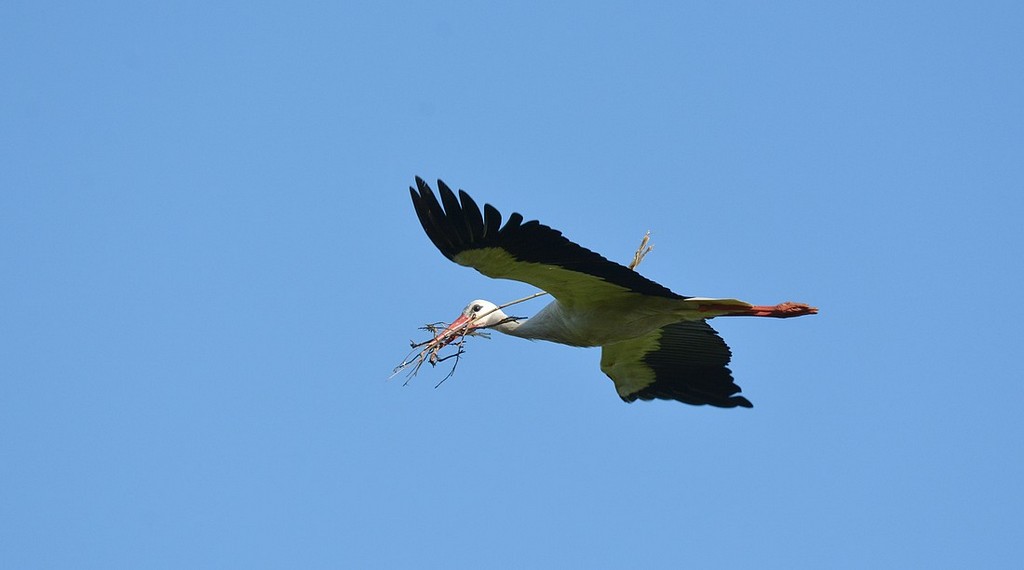 DSC_7841.JPG