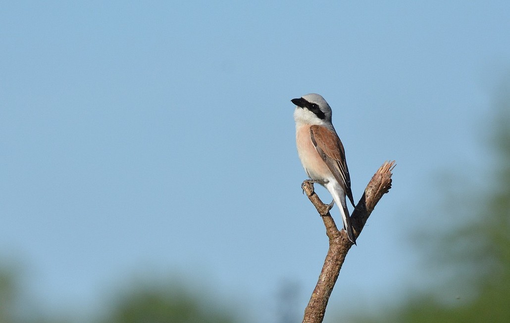 DSC_8573.JPG