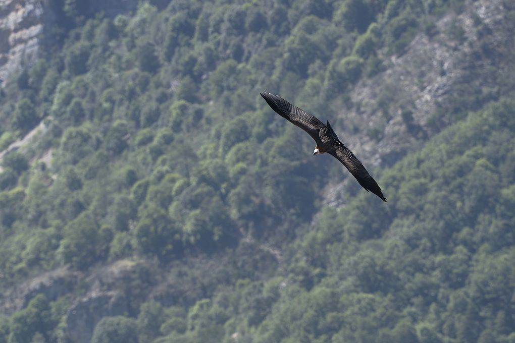 Vauntours internet 6.jpg