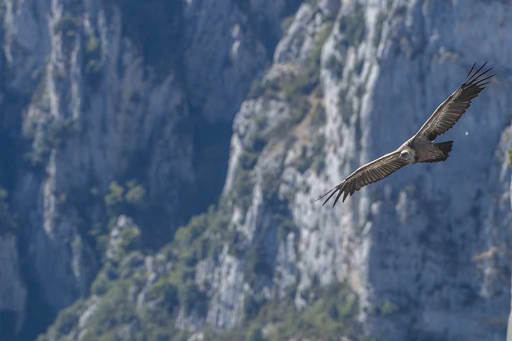 Vauntours internet 7.jpg