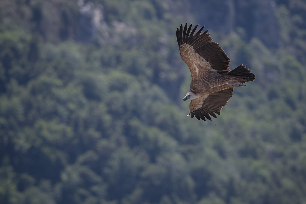 Vauntours internet 9.jpg