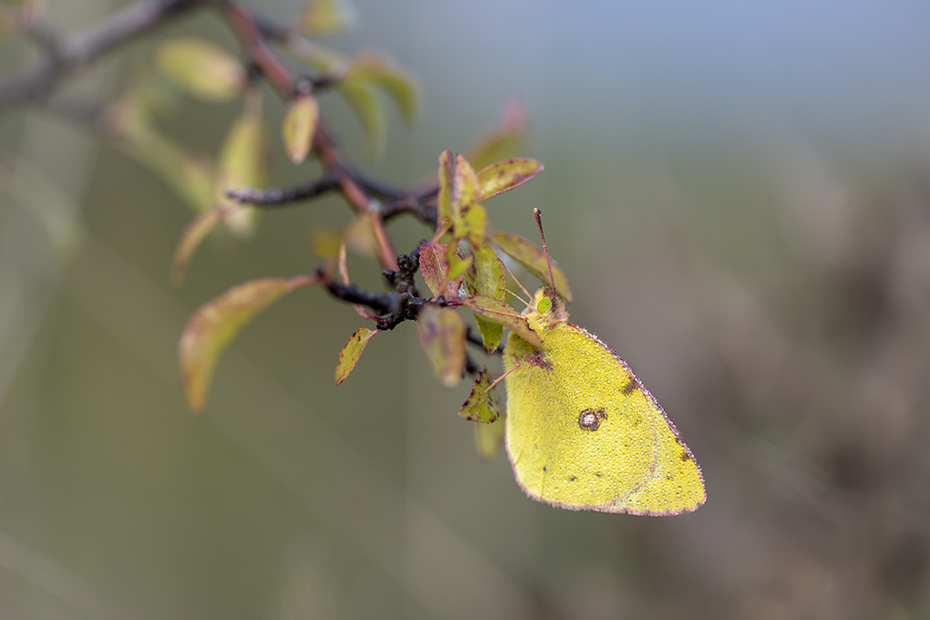 soucis internet 1.jpg