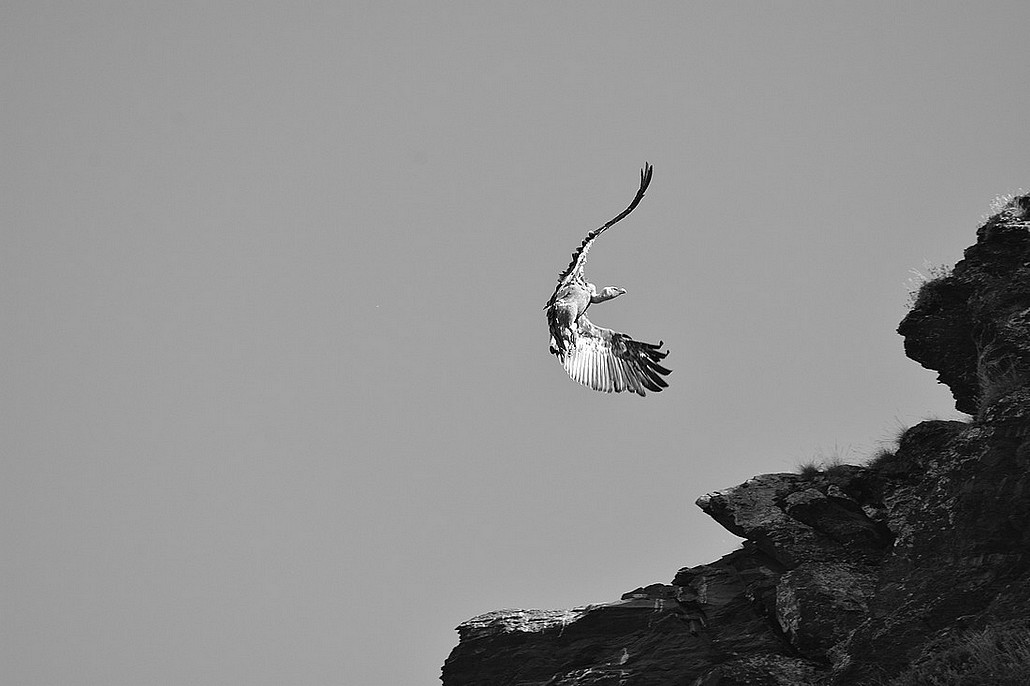 DSC_1911ii.JPG