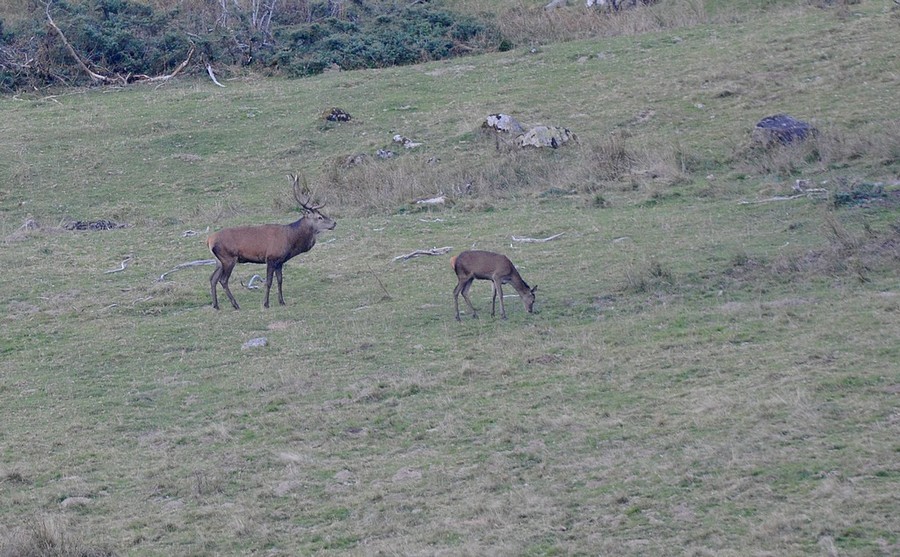 DSC_4095.JPG