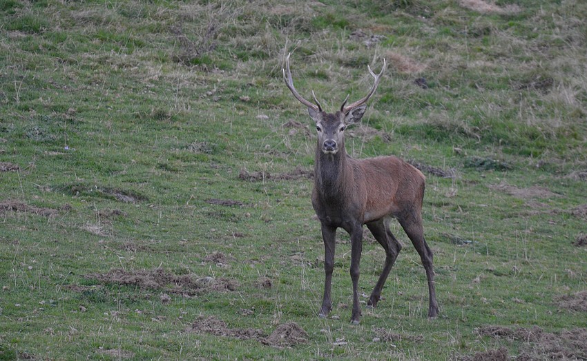 DSC_4183.JPG