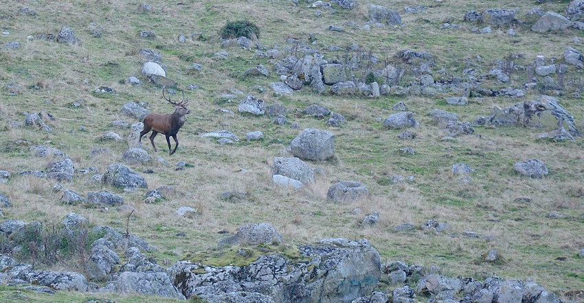 DSC_4080.JPG