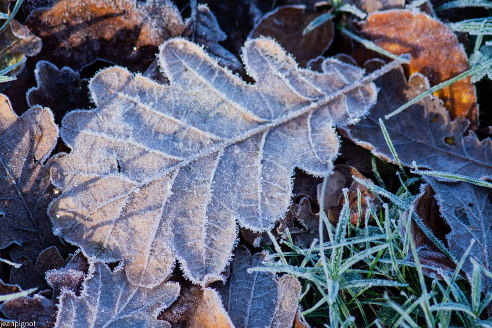 DSC_5333_001DSC_5333_02.JPG