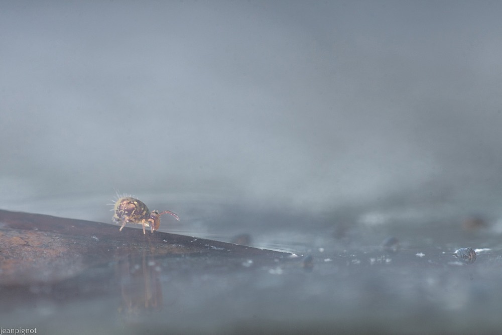 N7 elle redessant dans le brouillard.JPG