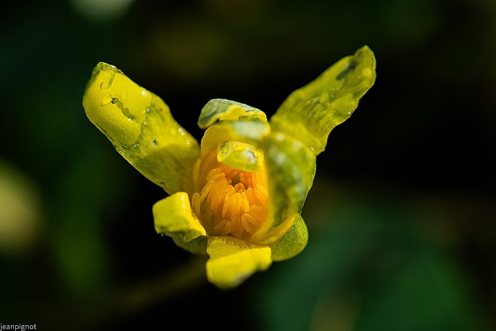 N8.JPG