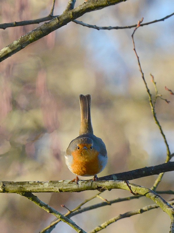 DSC_6166.JPG