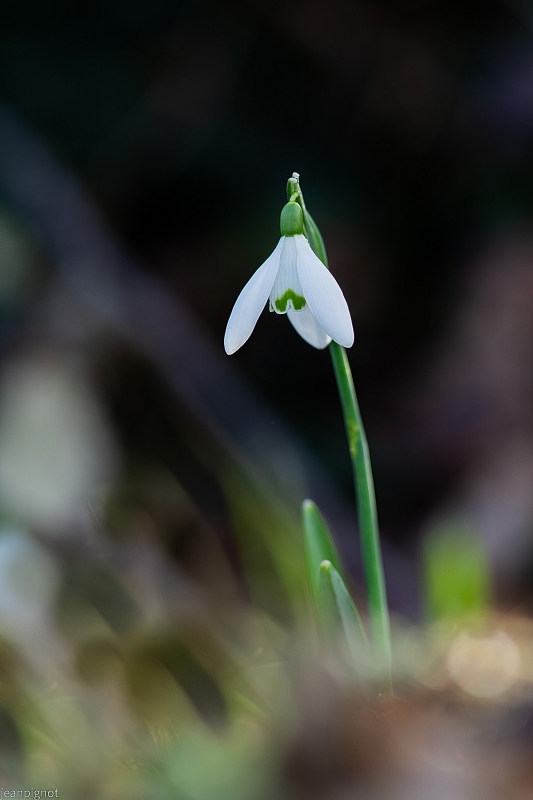 N7 perce neige (2).JPG
