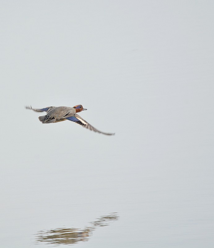 DSC_7697ee.JPG