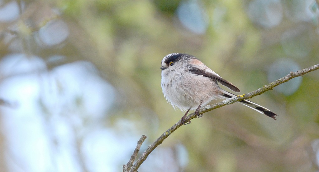 DSC_8227.JPG