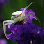 Avatar de l’utilisateur