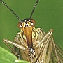 Avatar de l’utilisateur