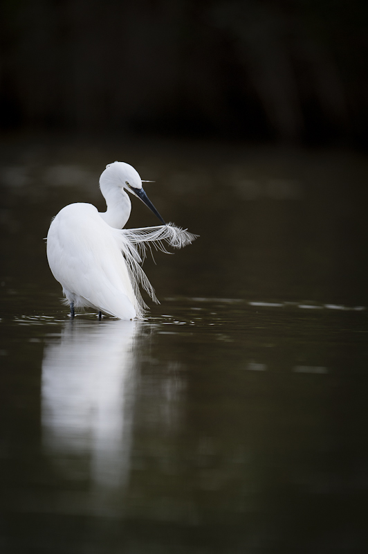 21092012-_DSC6553.jpg