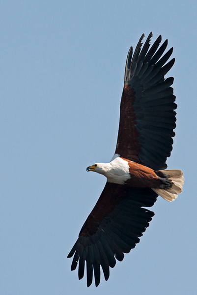_DSC3972.jpg