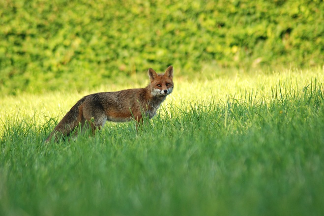 DSC_2394ret.jpg