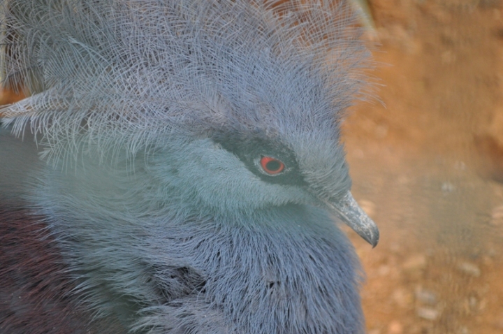 Immagine 044.jpg